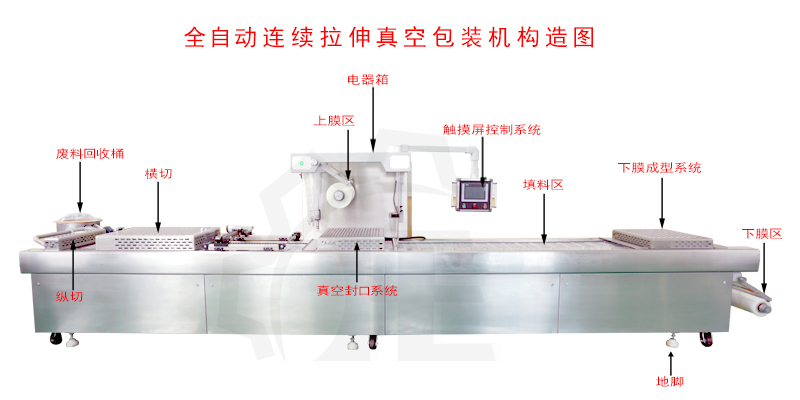 連續拉伸構造圖